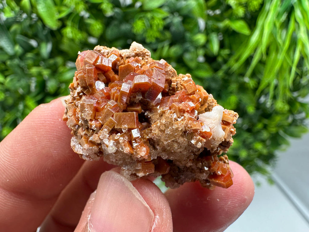 Red Vanadinite on Barite from Marocco,crystal minerals Speciment cluster Vanadinite crystal Vanadinite Geology Vanadinite cluster minerals