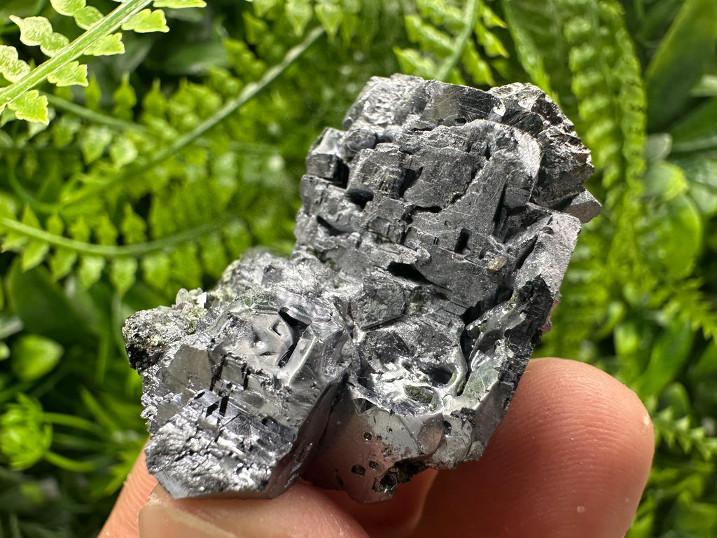 Shiny Galena Cluster: Borieva Mine, Madan, Bulgaria