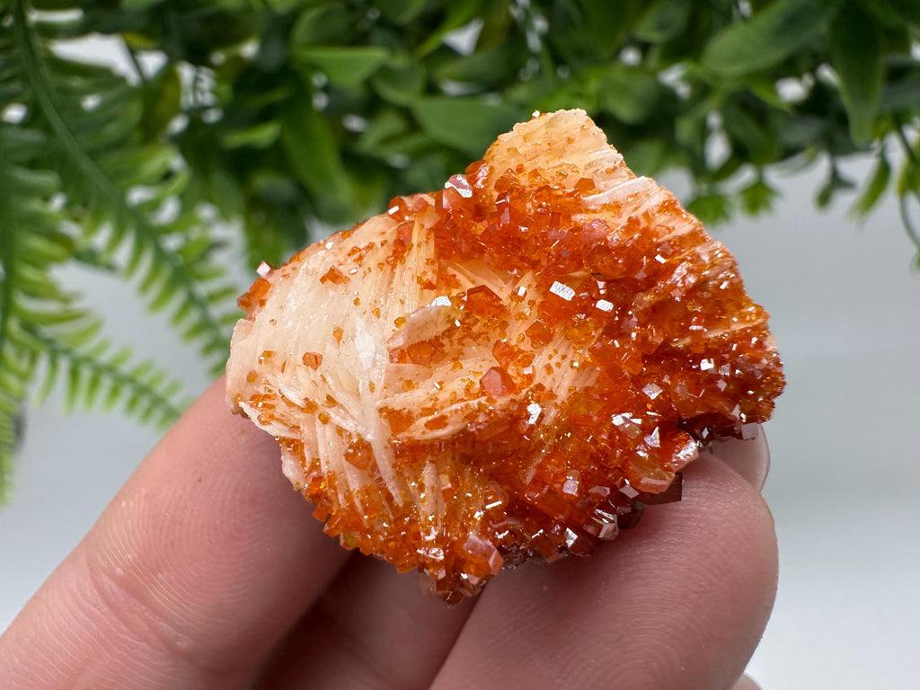 Red Vanadinite on Barite Cluster, Morocco Mineral Specimen