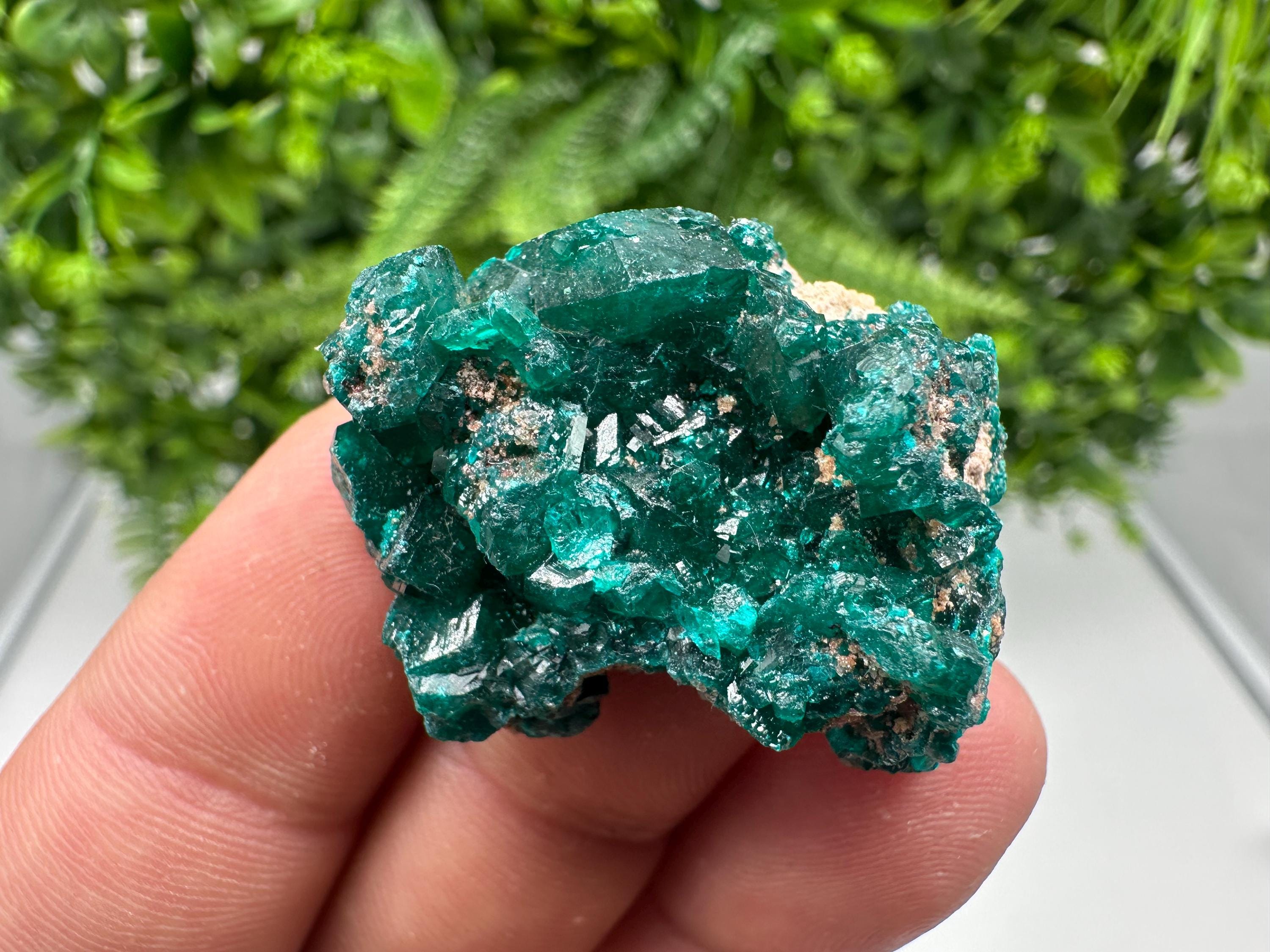 Stunning Green Dioptase from Sanda Hills,Mindouli,Pool Department,Mindouli District,Congo,green Dioptase,Dioptas Crystal,Dioptase collecting