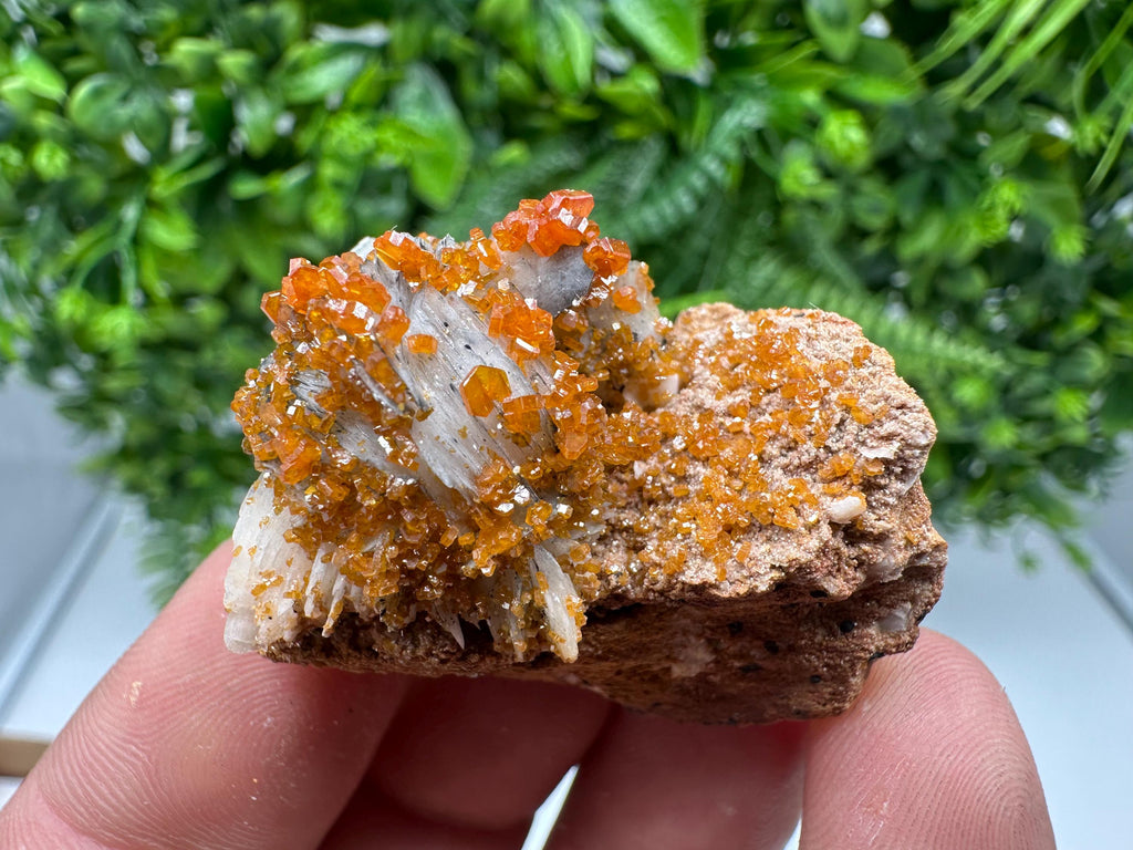 Red Vanadinite on Barite from Marocco,crystal minerals Speciment cluster Vanadinite crystal Vanadinite Geology Vanadinite cluster minerals