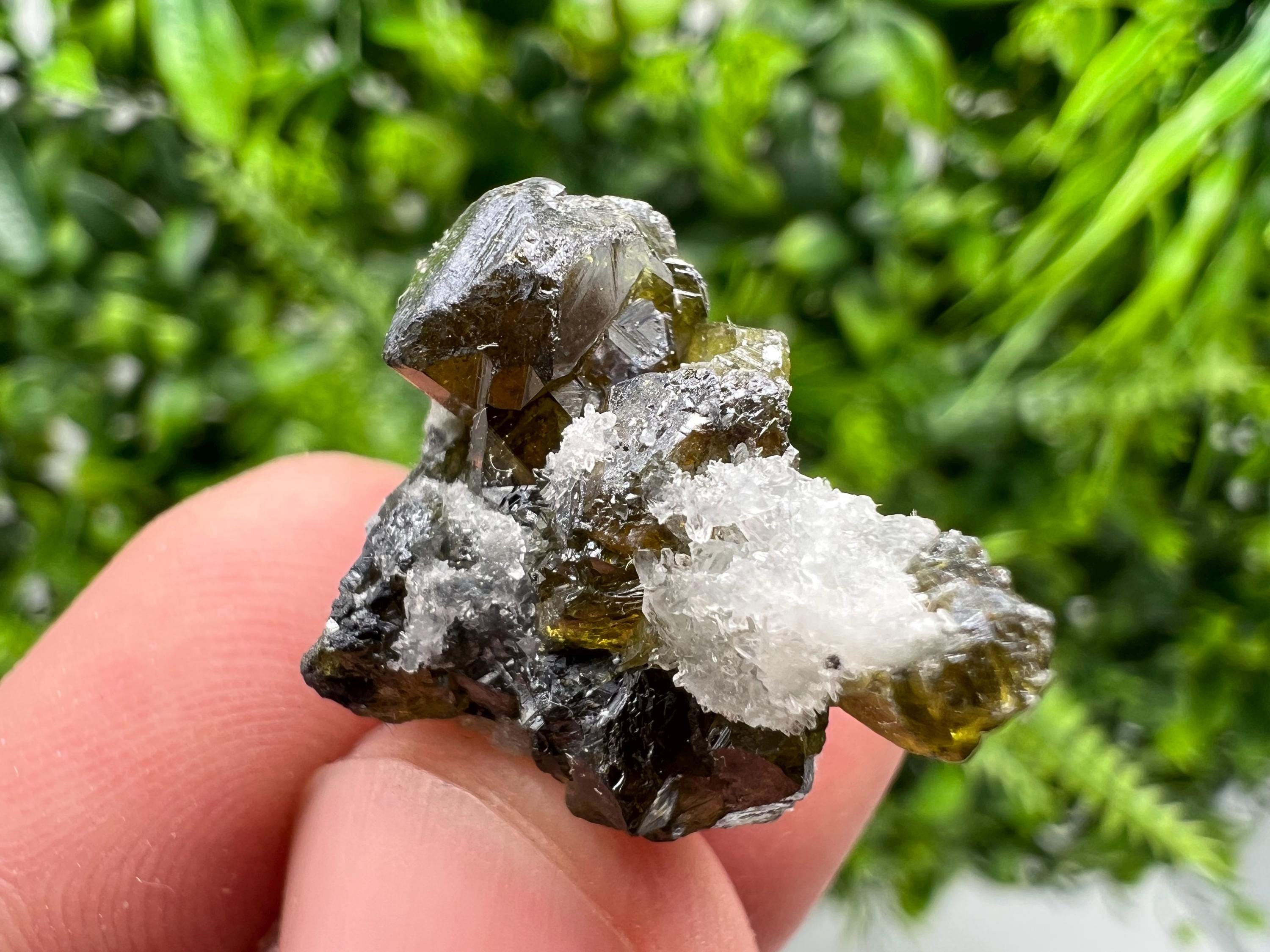 Cleiophane Sphalerite Gem: Rare Transparent Crystal, Bulgaria