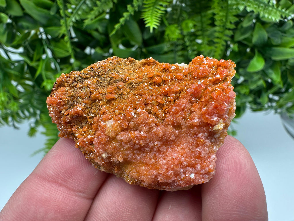 Red Vanadinite on Barite from Marocco,crystal minerals Speciment cluster Vanadinite crystal Vanadinite Geology Vanadinite cluster minerals