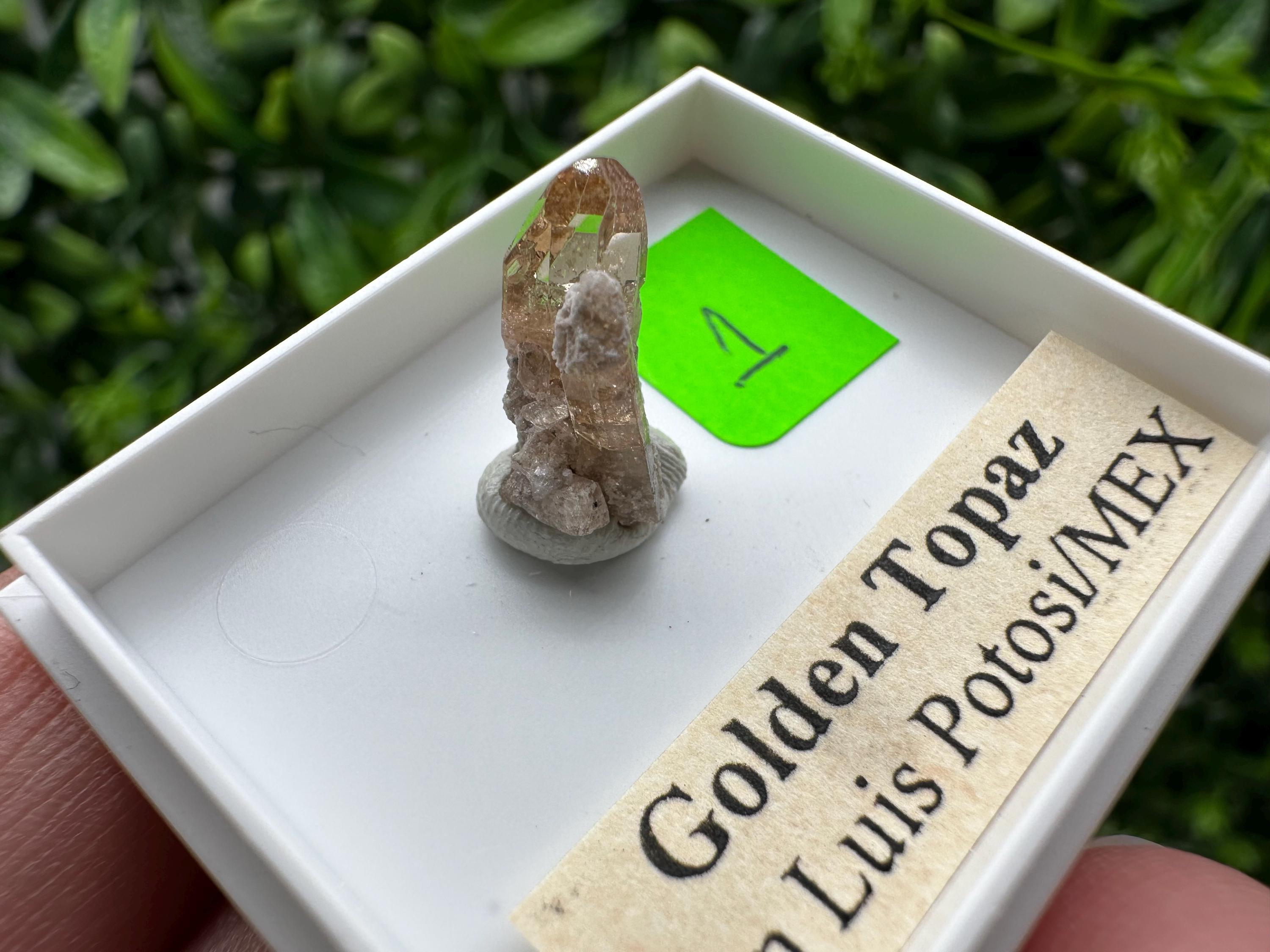 Golden Topaz Crystal, Mineral Specimen from Mexico