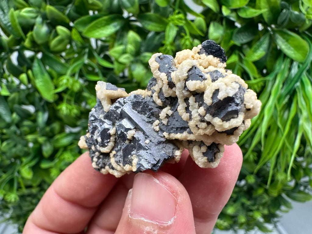 Skeletal Galena with Siderite and Sphalerite: Krushev dol Mine, Bulgaria