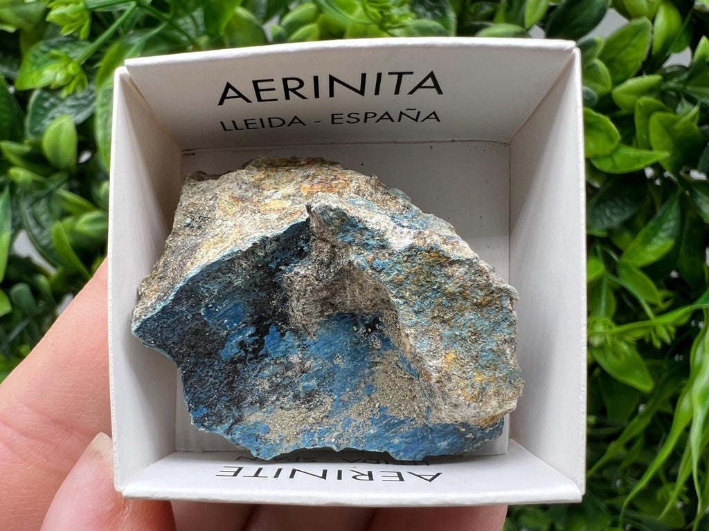 Rare Raw Aerinite Mineral Specimen: Collection Crystal from Lleida, Spain (4/3.5 CM)