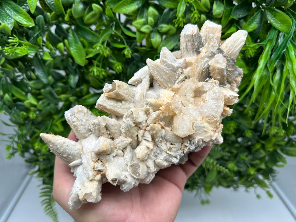 Stunning Brown Rhodochrosite on Calcite,Chalcedony,from Djurcovo mine,Bulgaria,natural collection mineral specimen,home decor crystal,gift
