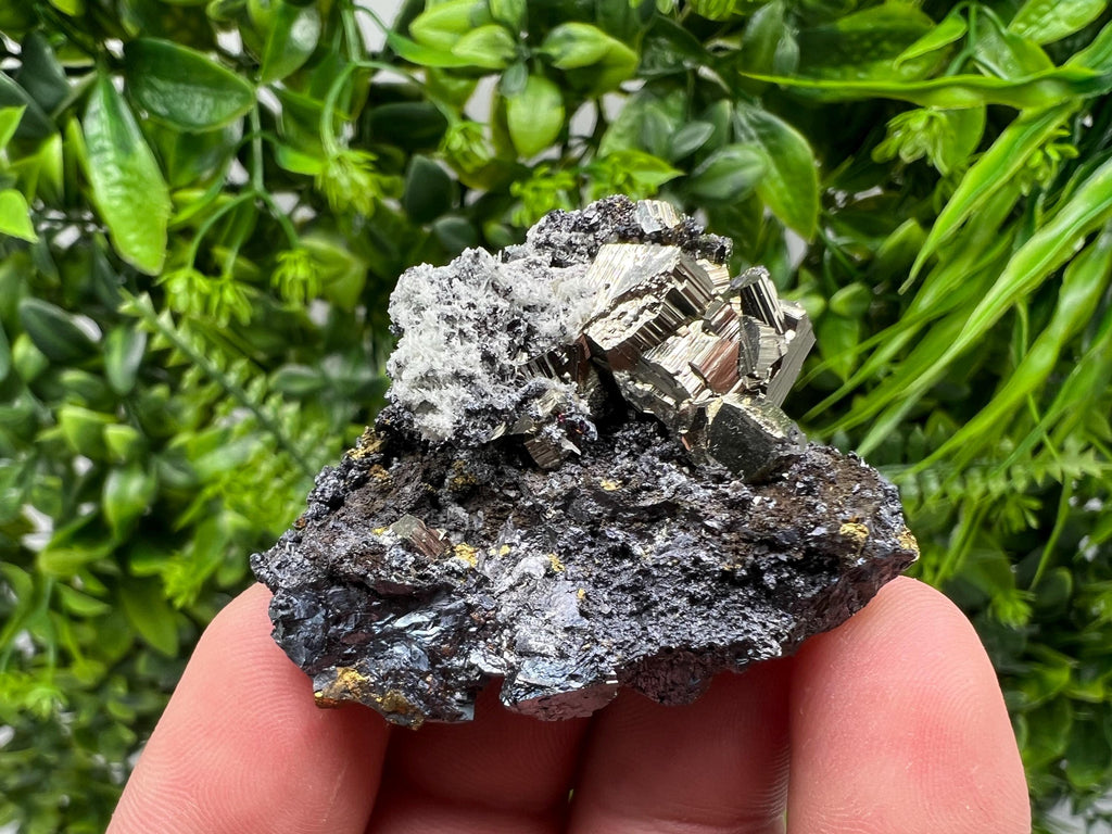 Golden Pyrite Sphalerite Cluster, Madan Bulgaria Mineral Specimen