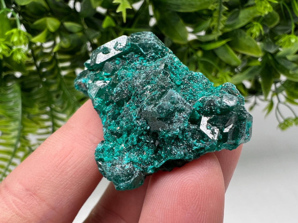 Stunning Green Dioptase from Sanda Hills,Mindouli,Pool Department,Mindouli District,Congo,green Dioptase,Dioptas Crystal,Dioptase collecting