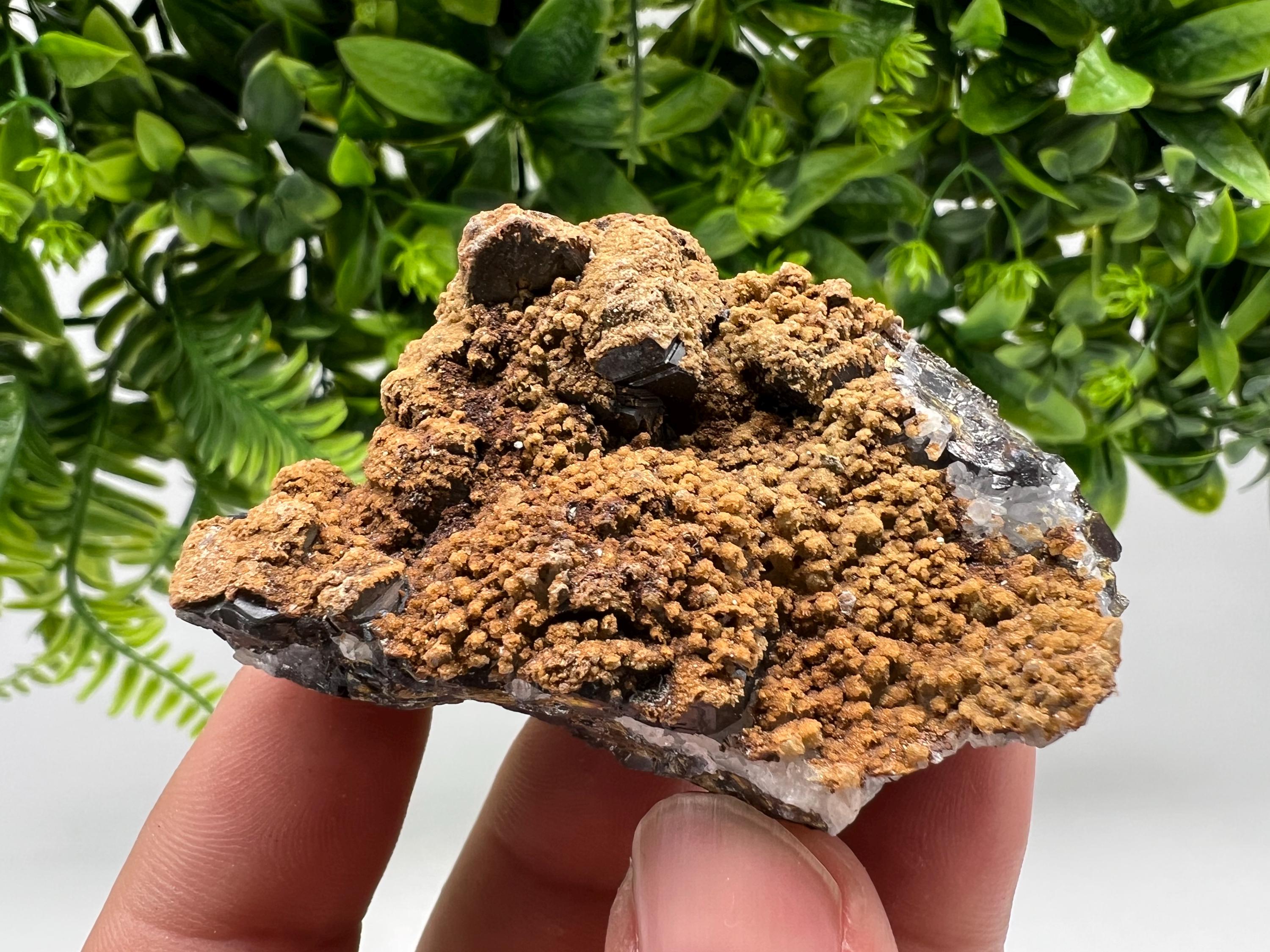 Transparent Quartz whit Sphalerite,Siderite Djurcovo Laki Bulgaria natural minerals souvenir crystal stone gift minerals collection rock