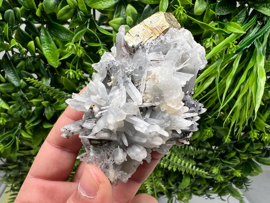 Stunning Rainbow Pyrite on Sphalerite,Quartz,from Borieva mine,Bulgaria,natural collection mineral specimen,pyrite cluster,Sphalerite,gift