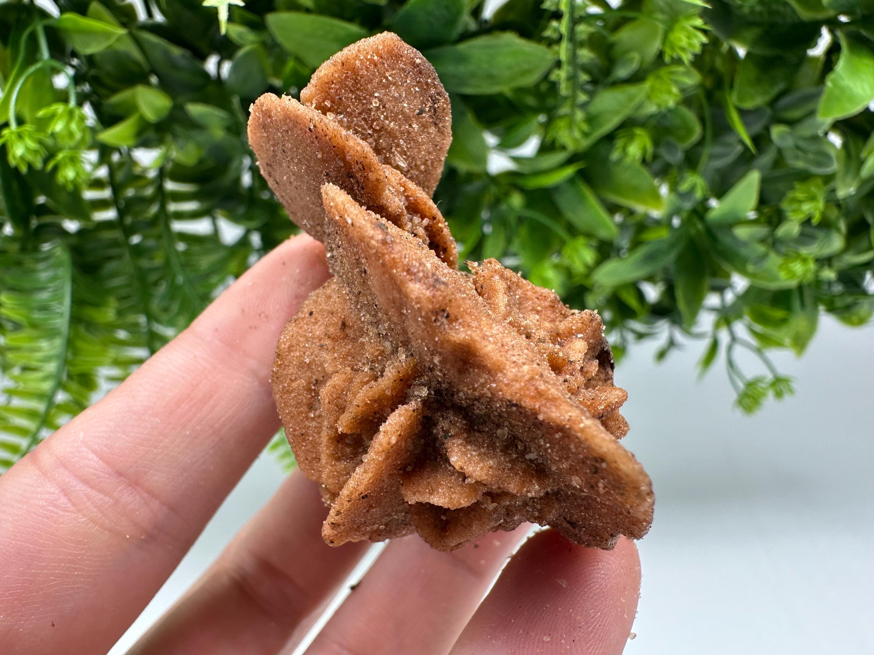Desert Rose Crystal: Root Chakra Healing Selenite Stone