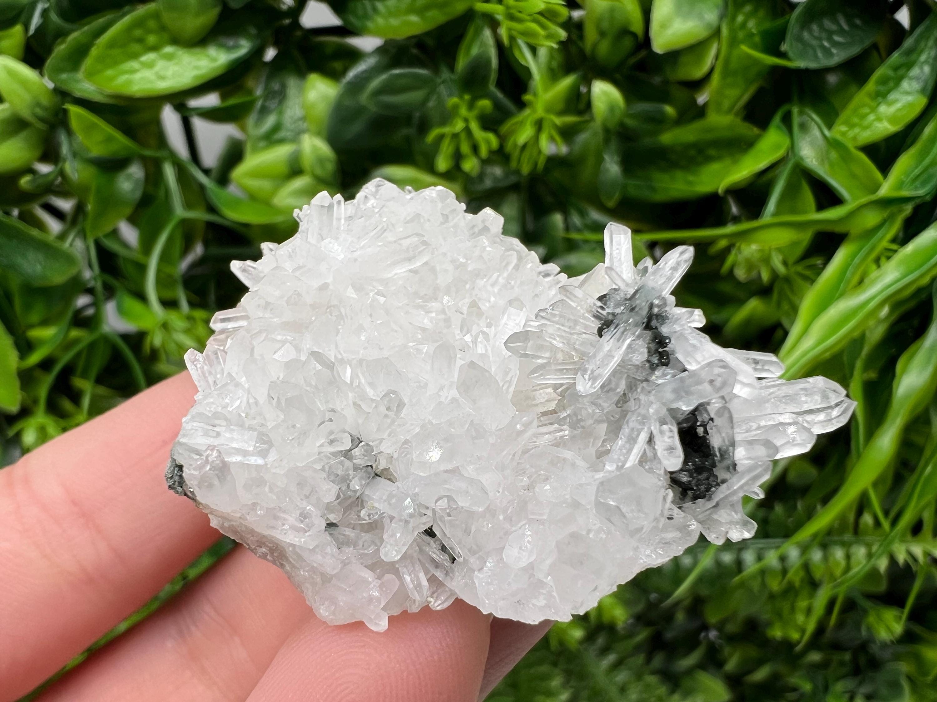 Stunning Transparent Quartz,from Borieva mine,natural collection mineral specimen rare crystal,home decor crystal,quartz cluster,Quartz,gift