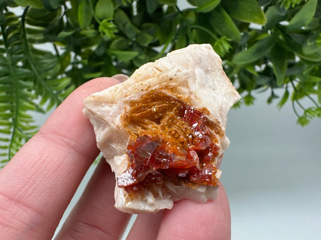 Red Vanadinite on Barite from Marocco,crystal minerals Speciment cluster Vanadinite crystal Vanadinite Geology Vanadinite cluster minerals