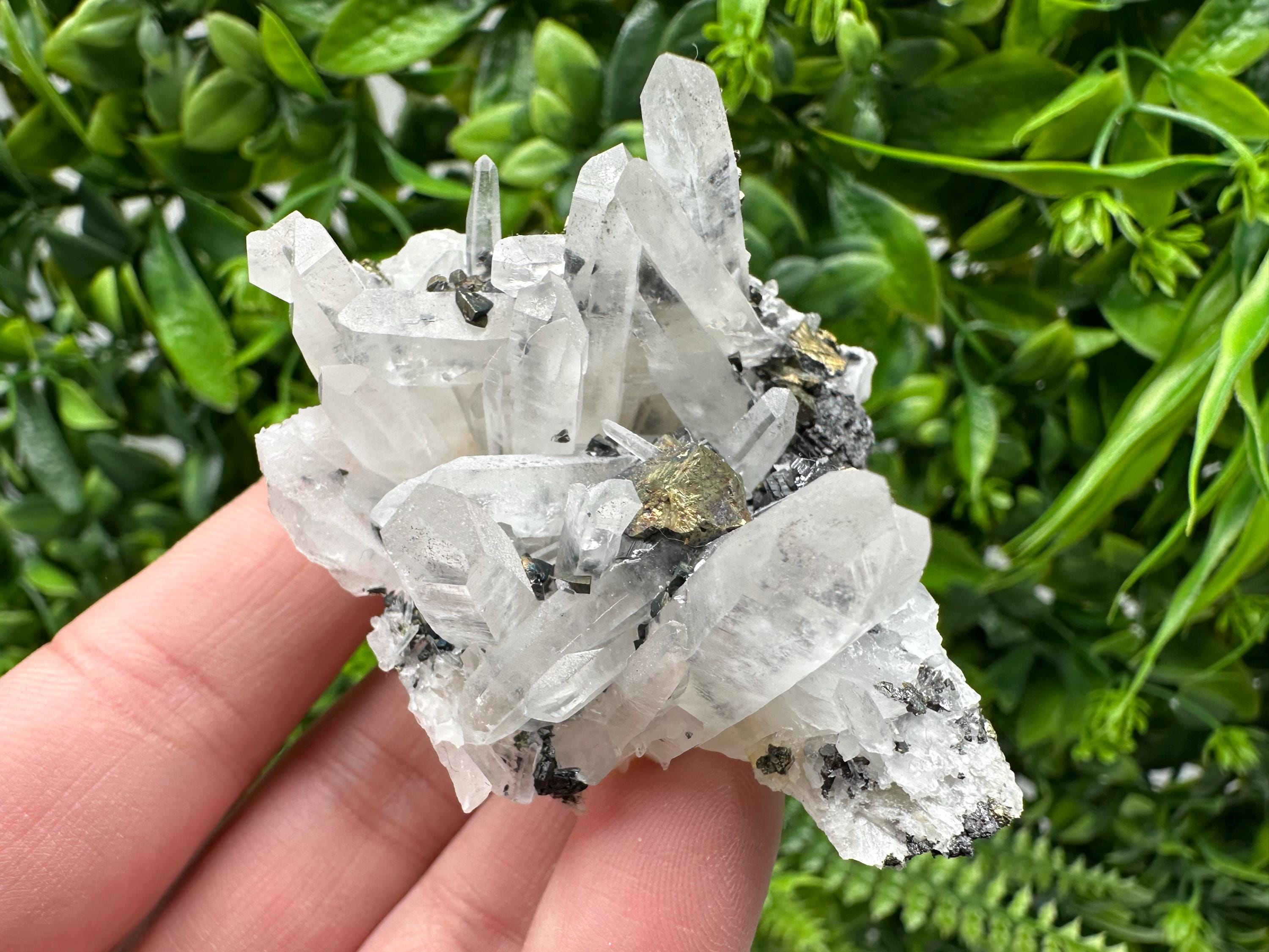 Wonderful Sphalerite Chalcopyrite on  Quartz whit Galena feom 9 th September mine,Bulgaria,natural,collection mineral specimen,gift
