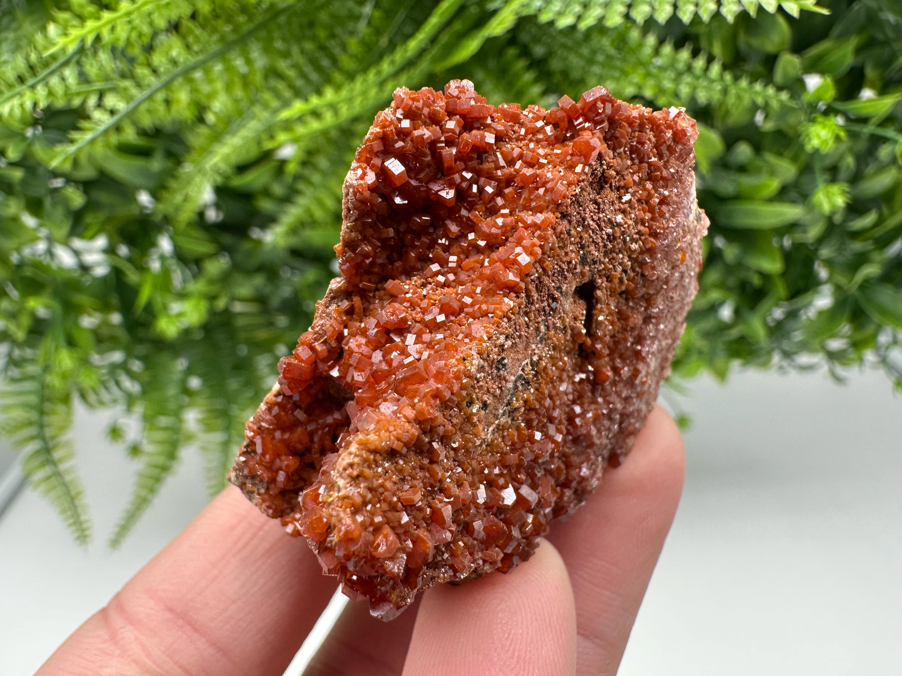 Red Vanadinite on Matrix from Marocco,crystal minerals Speciment cluster Vanadinite crystal Vanadinite Geology Vanadinite cluster minerals