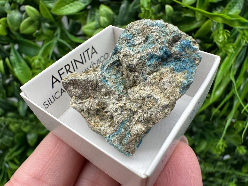 Rare Raw Aerinite Mineral Specimen: Lleida, Spain Crystal