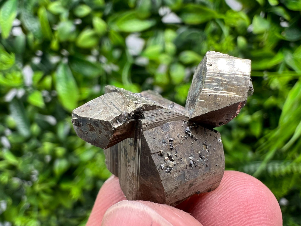 Mini Rare crystallisation Pyrite,Borieva mine,Bulgaria,floating Pyrite,golden Pyrite,Pyrite cluster,mini Collection specimen,Rainbow Pyrite