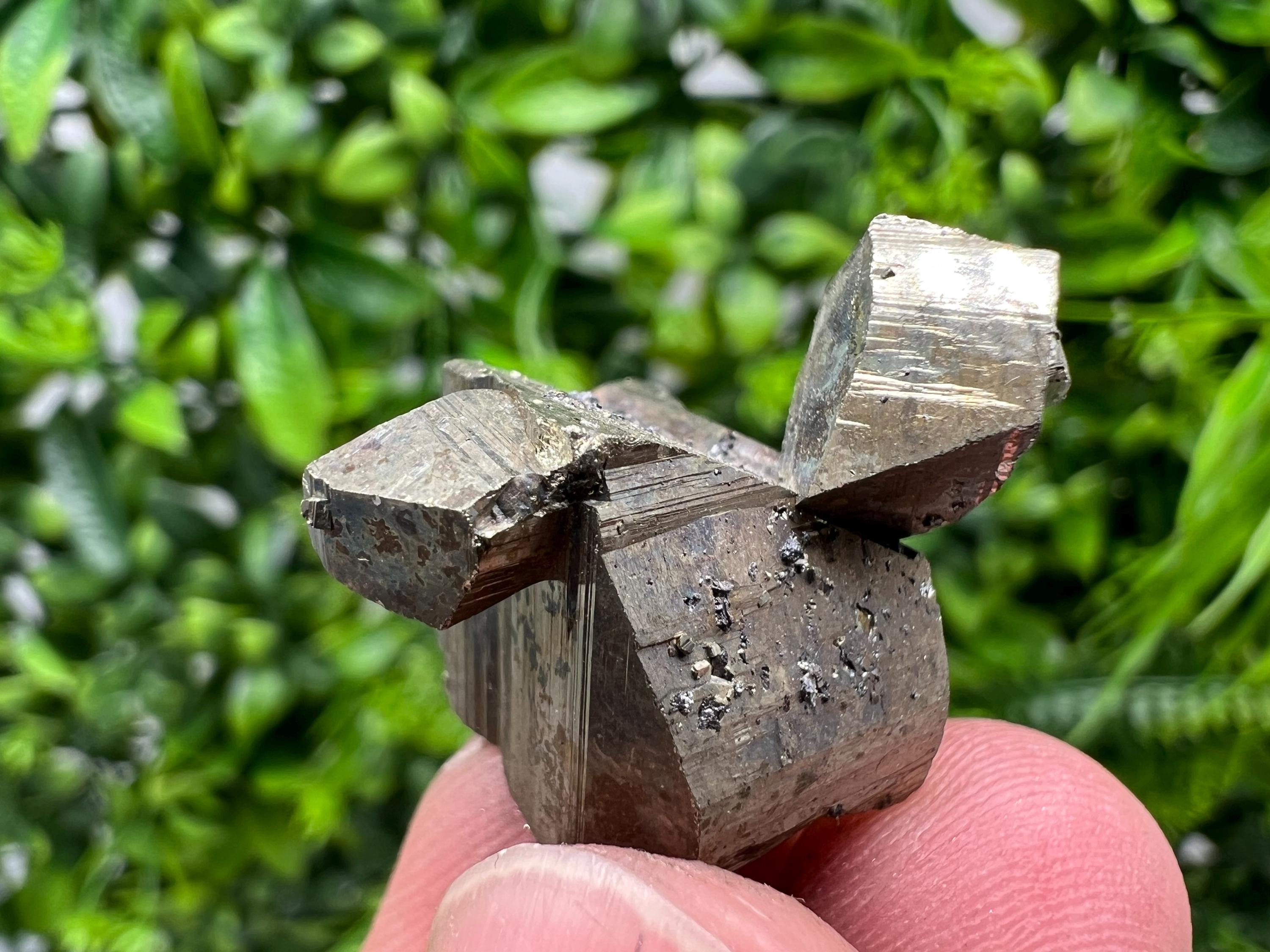 Mini Rare crystallisation Pyrite,Borieva mine,Bulgaria,floating Pyrite,golden Pyrite,Pyrite cluster,mini Collection specimen,Rainbow Pyrite
