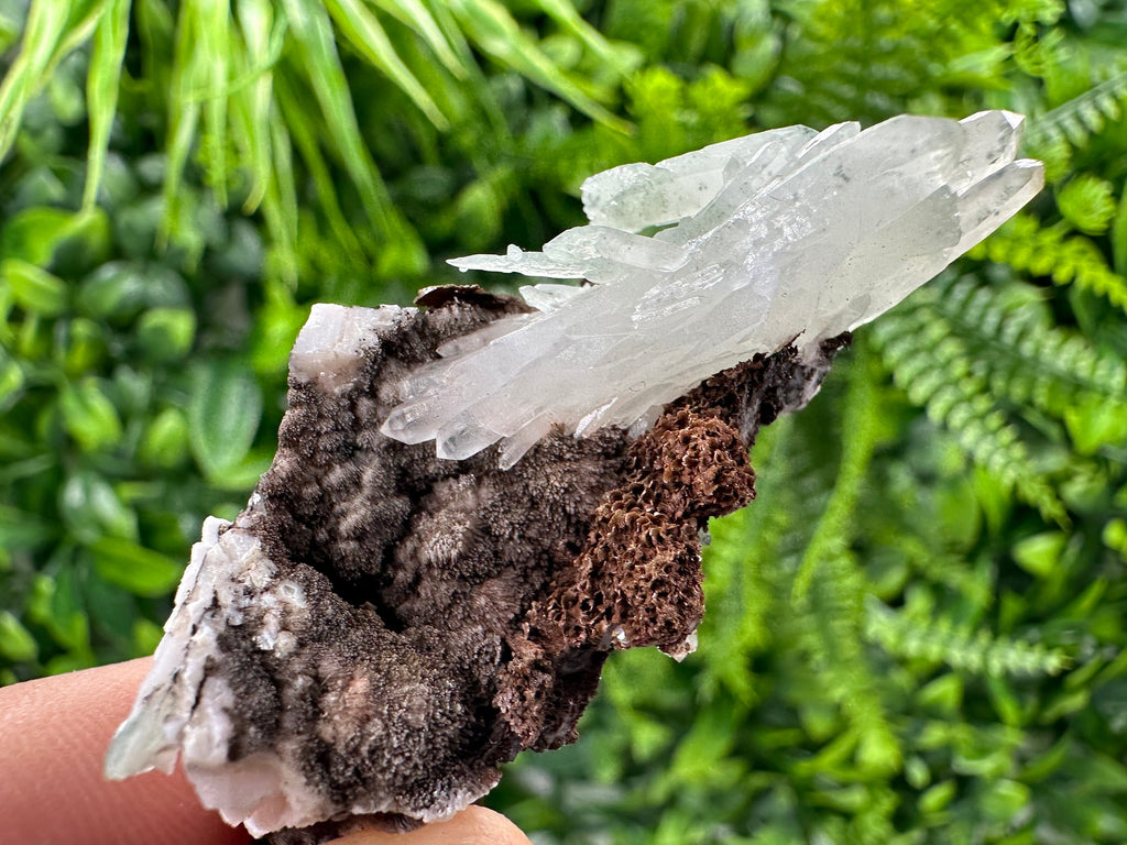 Quartz with Chlorite on Rhodochrosite and Siderite Mineral Specimen
