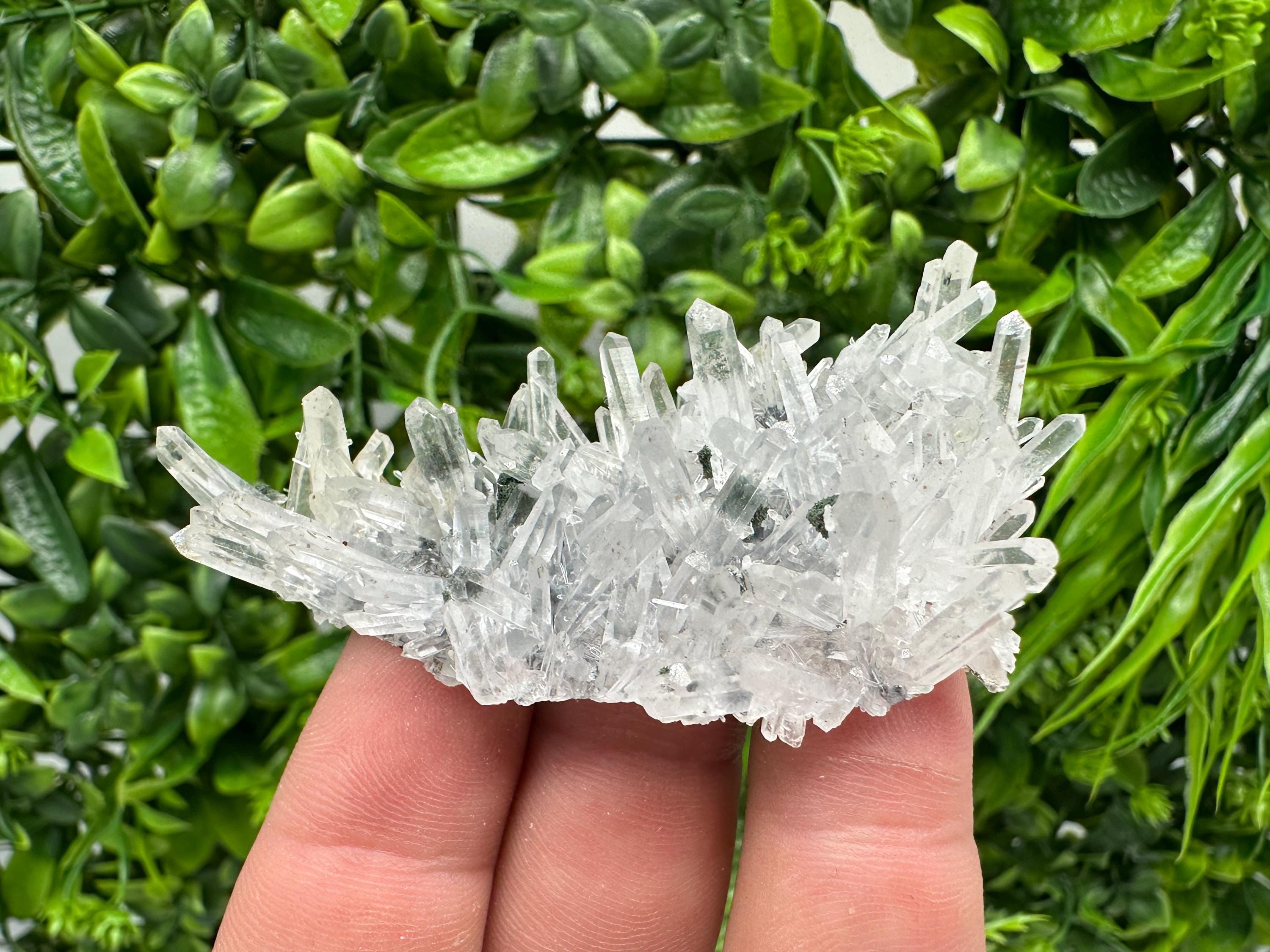 Chlorite Quartz Crystal Cluster - Borieva Mine, Bulgaria
