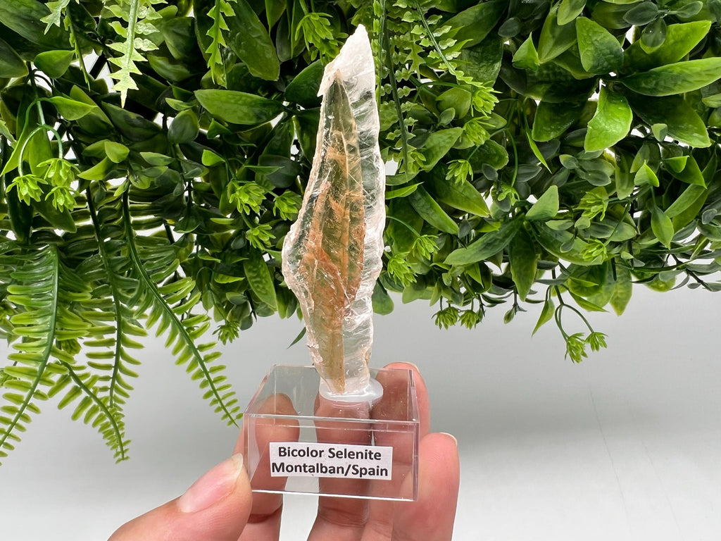 Golden Phantom Selenite Slab: Utah Raw Fishtail Selenite