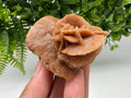 Natural Desert Rose Crystal – Root Chakra Selenite Stone, Home Decor
