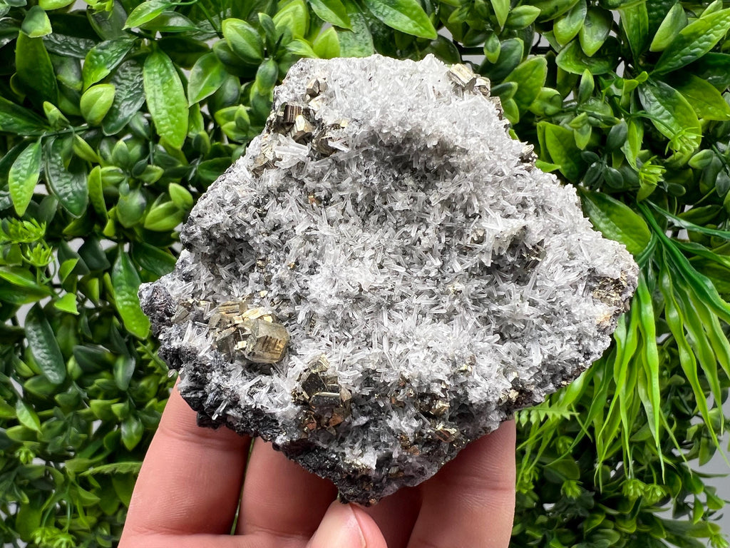 Rainbow Pyrite on Quartz, Natural Mineral Specimen, Borieva Bulgaria