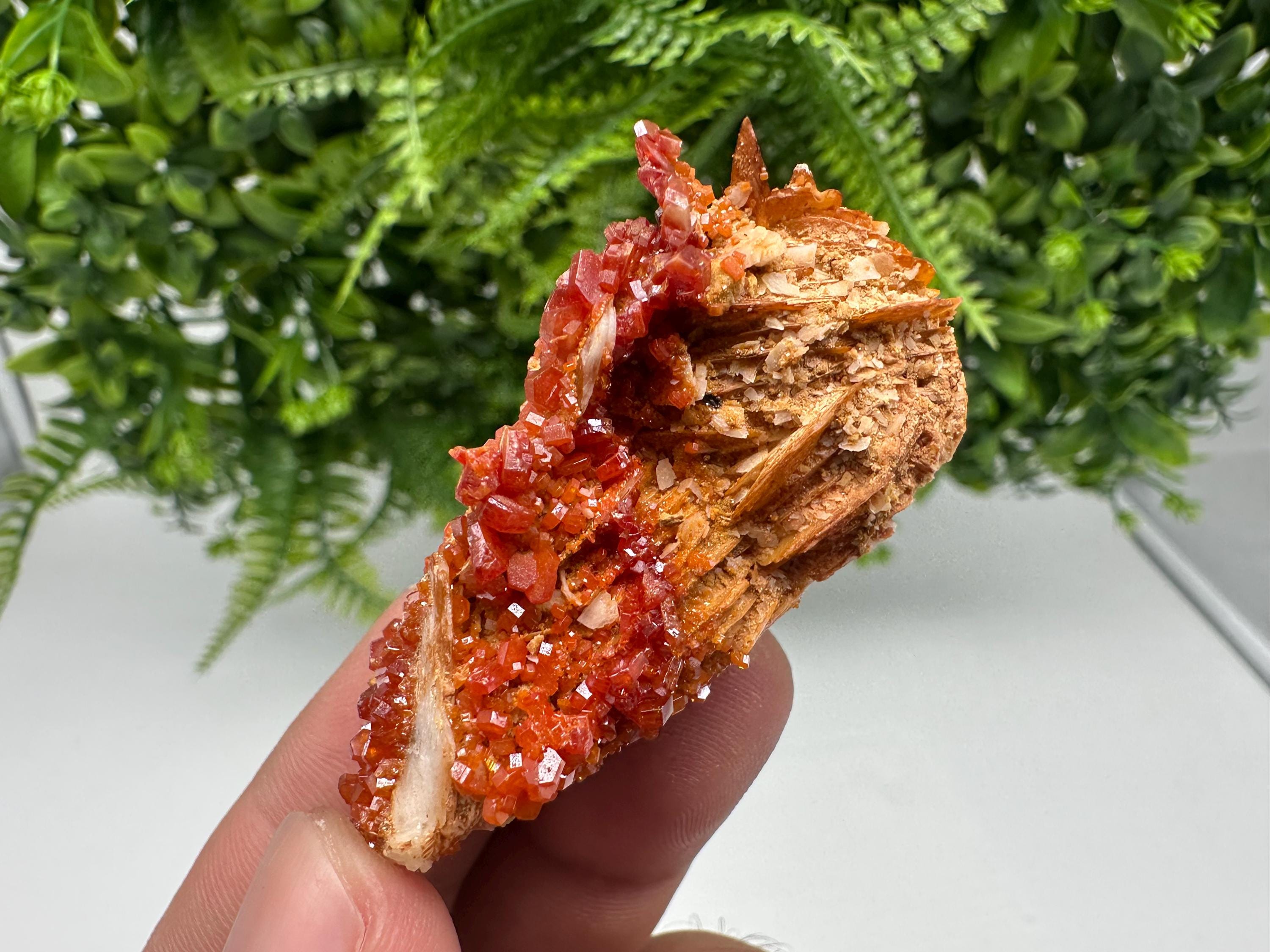 Red Vanadinite on Barite, Morocco Crystal Cluster