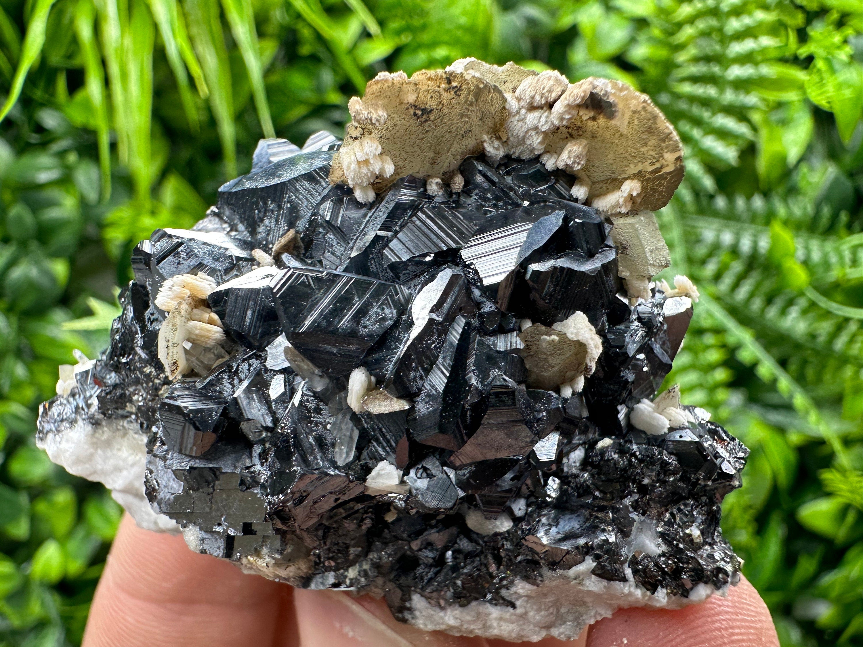 Calcite with Chlorite on Sphalerite, Borieva Mine Mineral Specimen