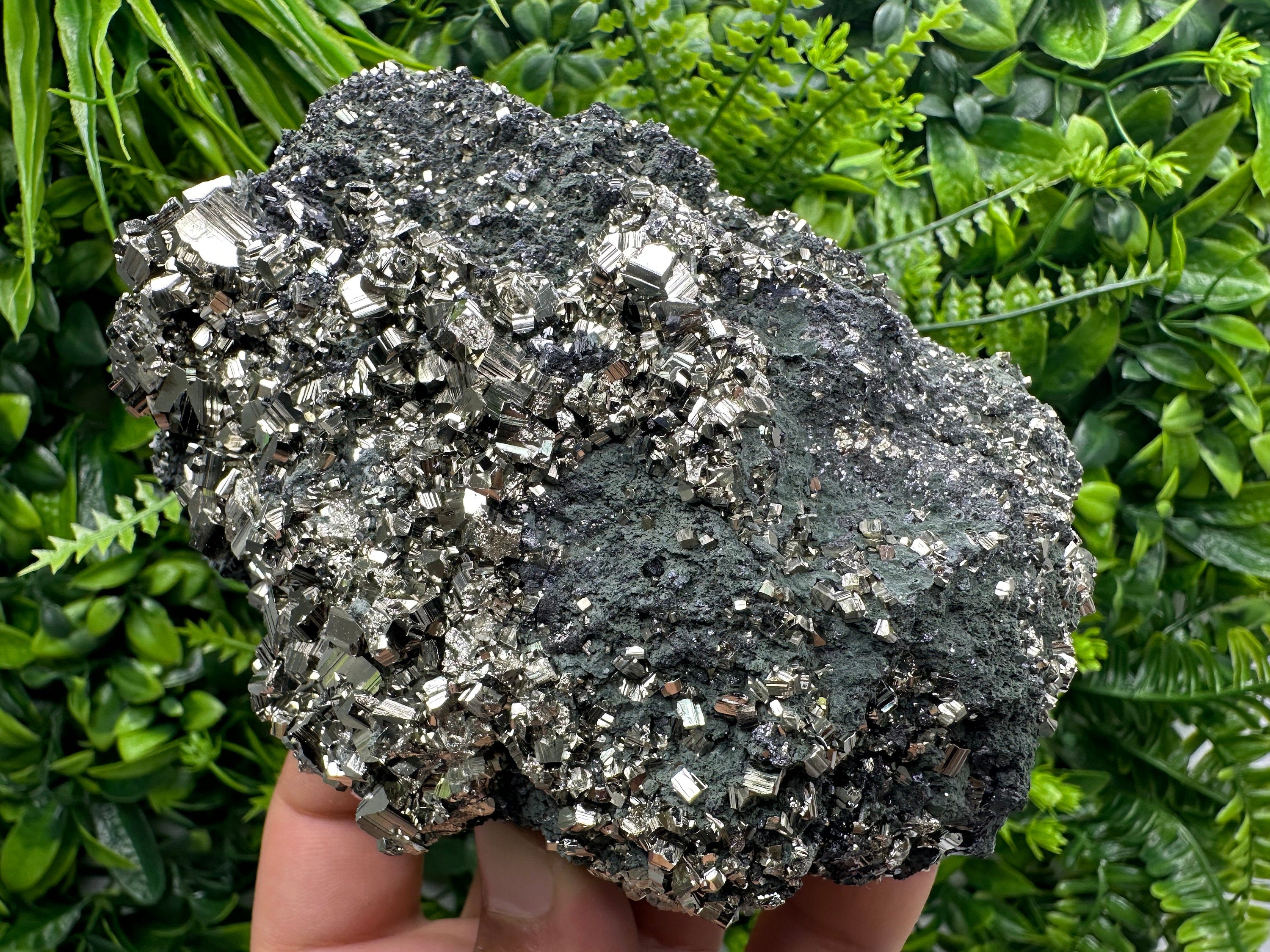 Golden Pyrite on Sphalerite with Chlorite, Bulgaria Mineral Specimen
