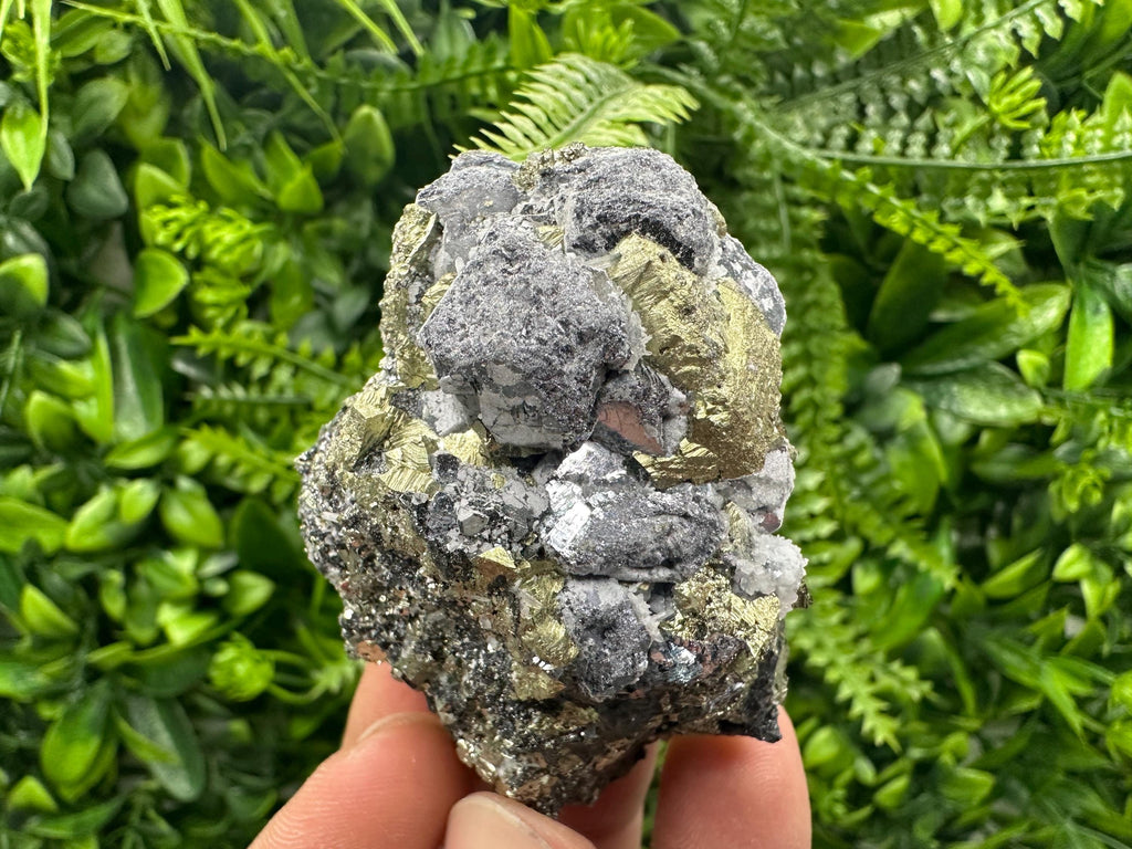 Chalcopyrite with Galena Mineral Specimen: Krushev Dol Mine, Bulgaria