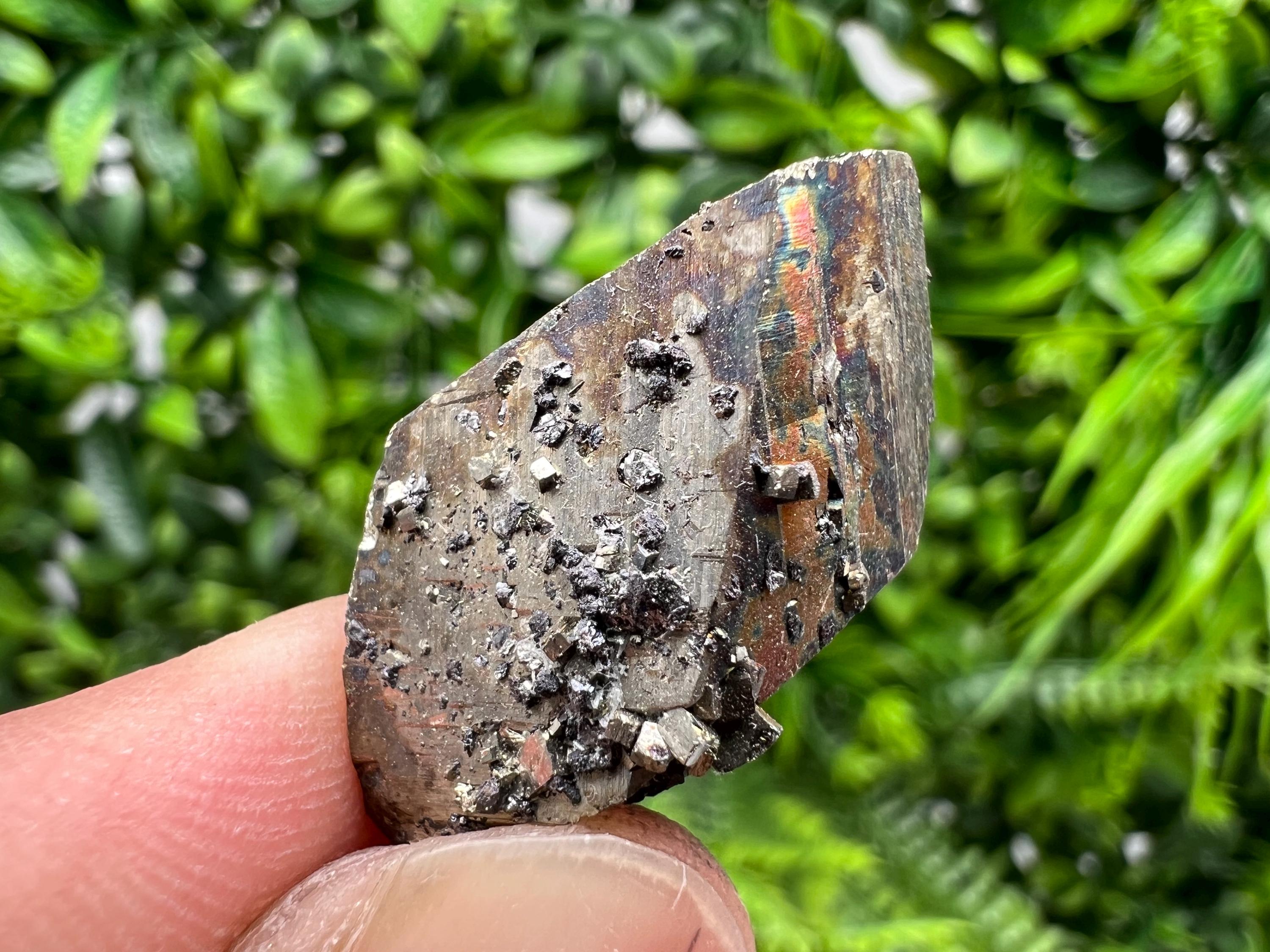 Mini Rare crystallisation Pyrite,Borieva mine,Bulgaria,floating Pyrite,golden Pyrite,Pyrite cluster,mini Collection specimen,Rainbow Pyrite