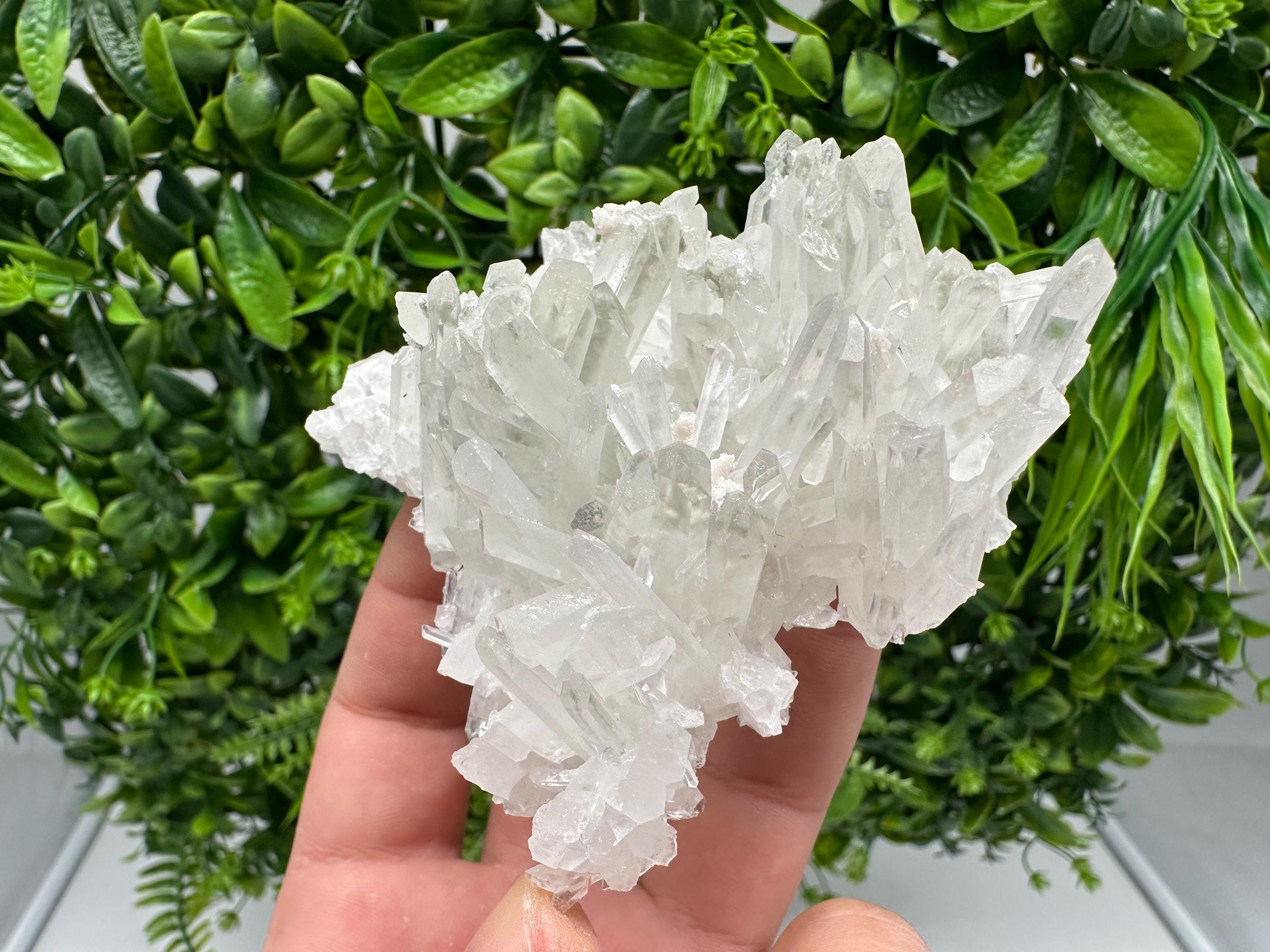 Transparent Quartz Crystal: Djurcovo Mine, Bulgaria