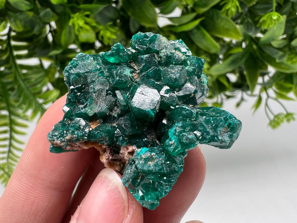 Stunning Green Dioptase from Sanda Hills,Mindouli,Pool Department,Mindouli District,Congo,green Dioptase,Dioptas Crystal,Dioptase collecting