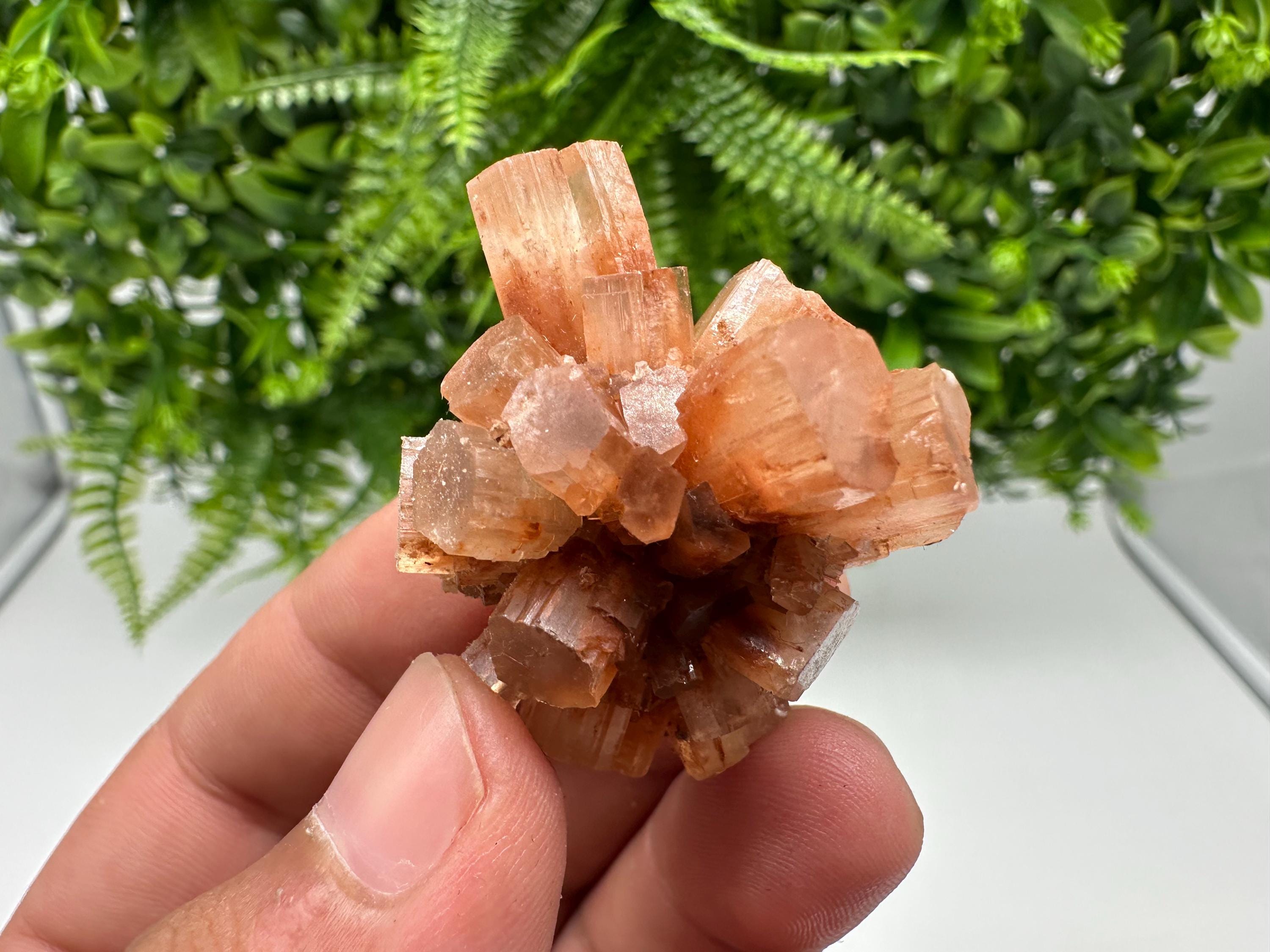 Aragonite Sputnik Cluster: Raw Moroccan Crystal Stone, Home Decor