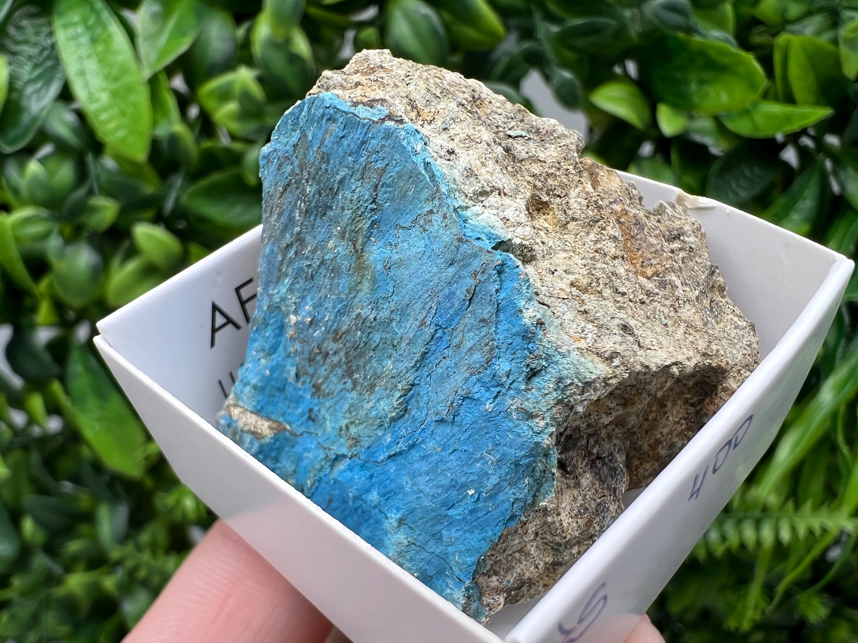 Rare Raw Aerinite Mineral Specimen: Lleida Spain Collection Crystal