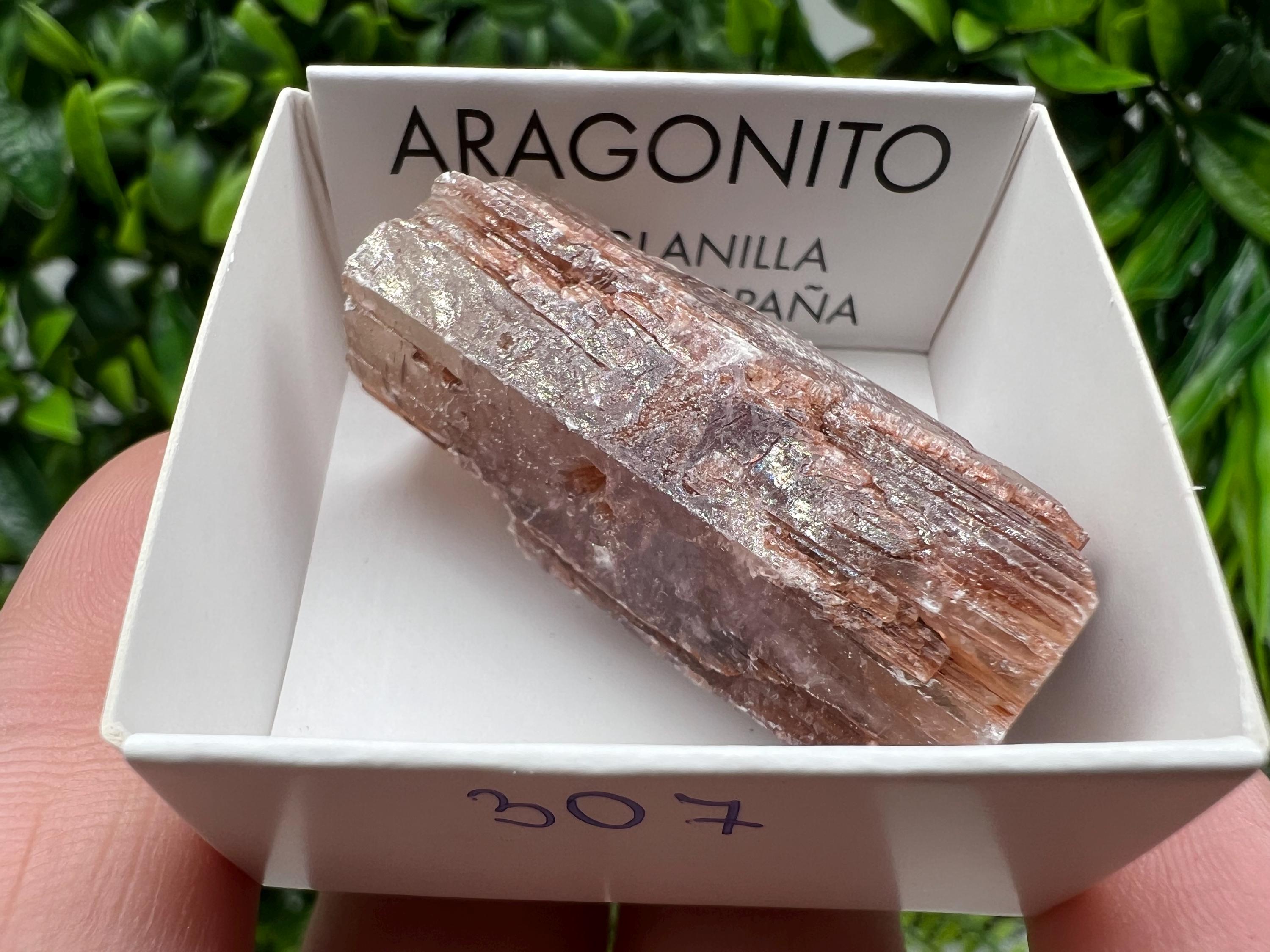Amazing Aragonite from Spain,Aragonite crystal,cluster,natural,mineral,specimen,Purple Aragonite,Spanish Aragonite,Mineralcollection