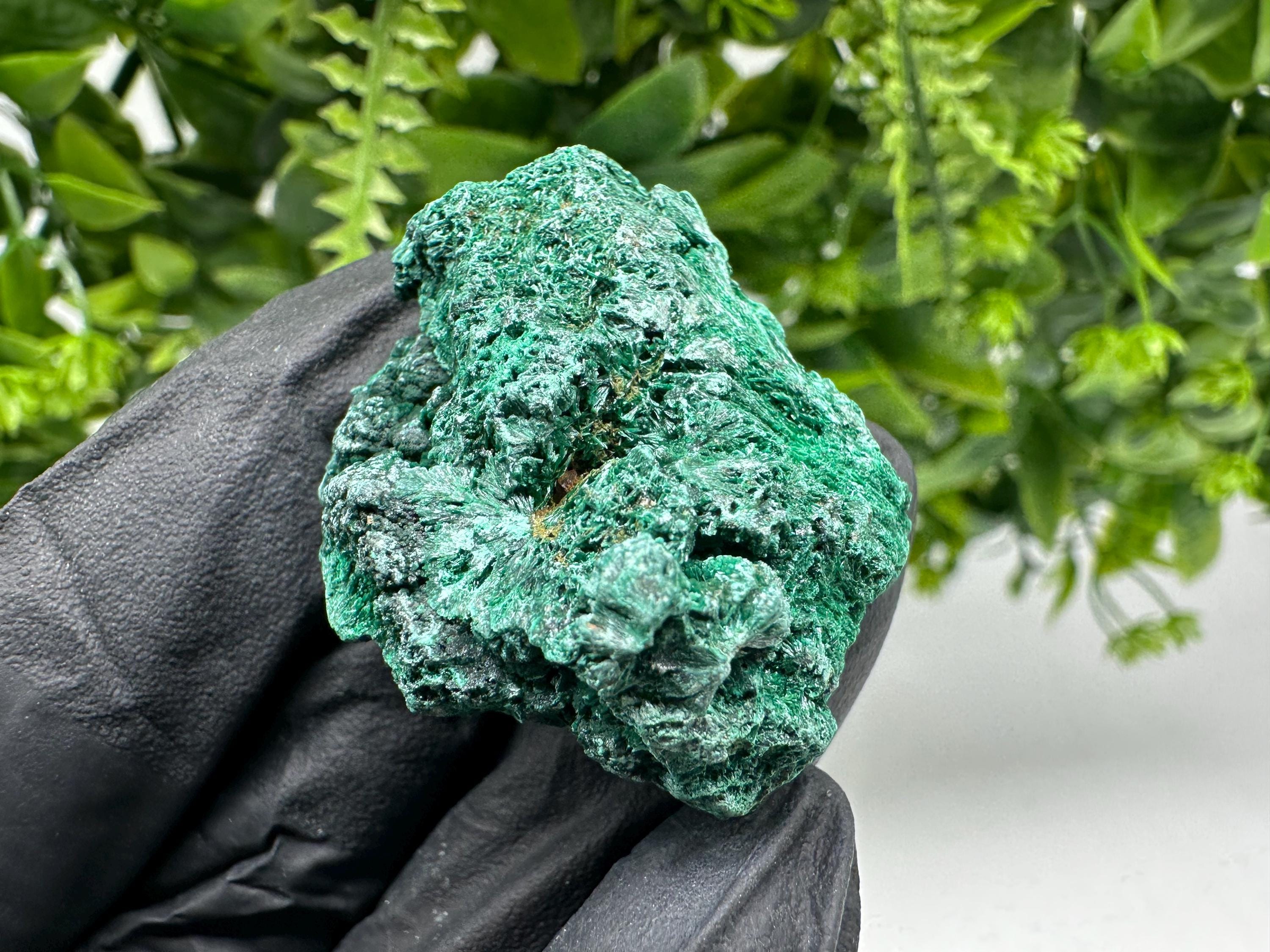 Malachite Crystal from Congo,Minerals,Crystals from Congo,Green Malachite, Malachite,Natural Malachite,Malachite Stone,Chakra, Specimens