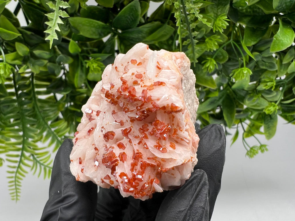 Red Vanadinite on Barite from Marocco,crystal minerals Speciment cluster Vanadinite crystal Vanadinite Geology Vanadinite cluster minerals