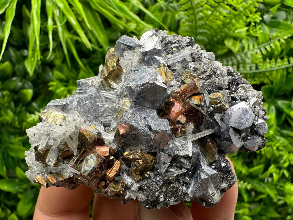Red Pyrite, Galena, Sphalerite & Quartz Crystal Cluster - Borieva Mine