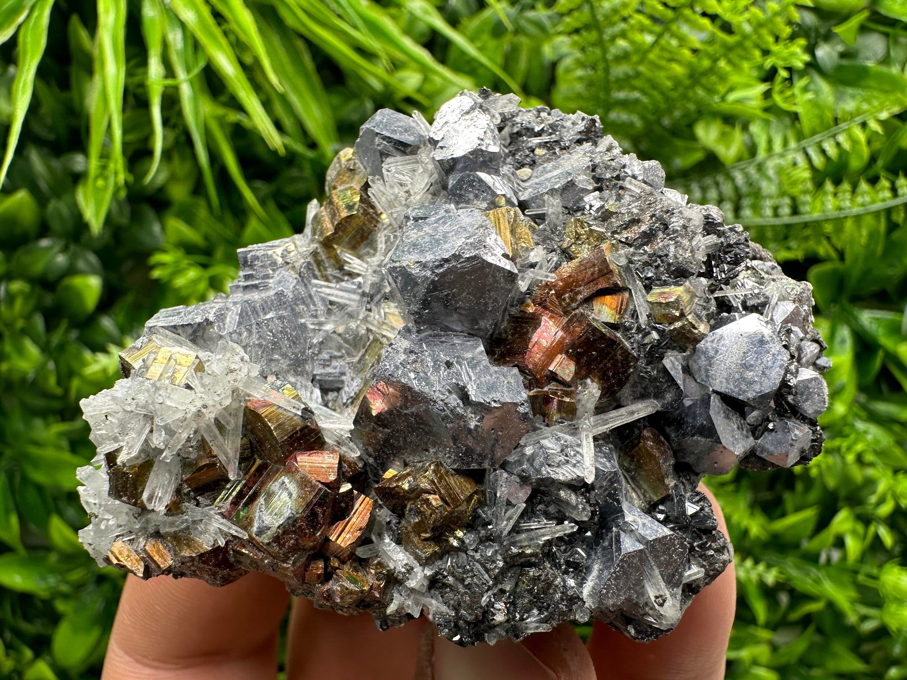 Red Pyrite, Galena, Sphalerite & Quartz Crystal Cluster - Borieva Mine