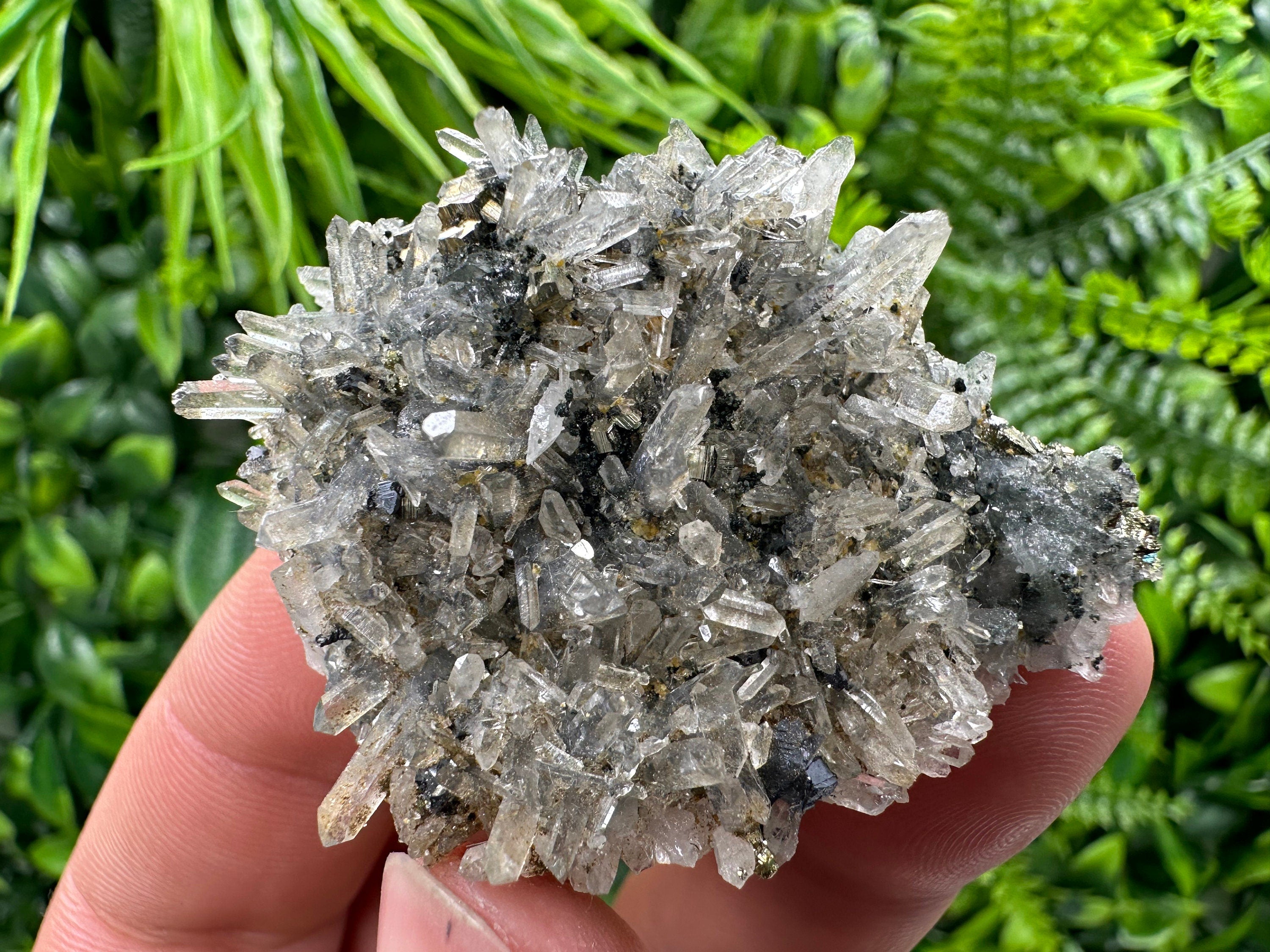 Pyrite Galena on Green Quartz, Chlorite Mineral Specimen, Bulgaria