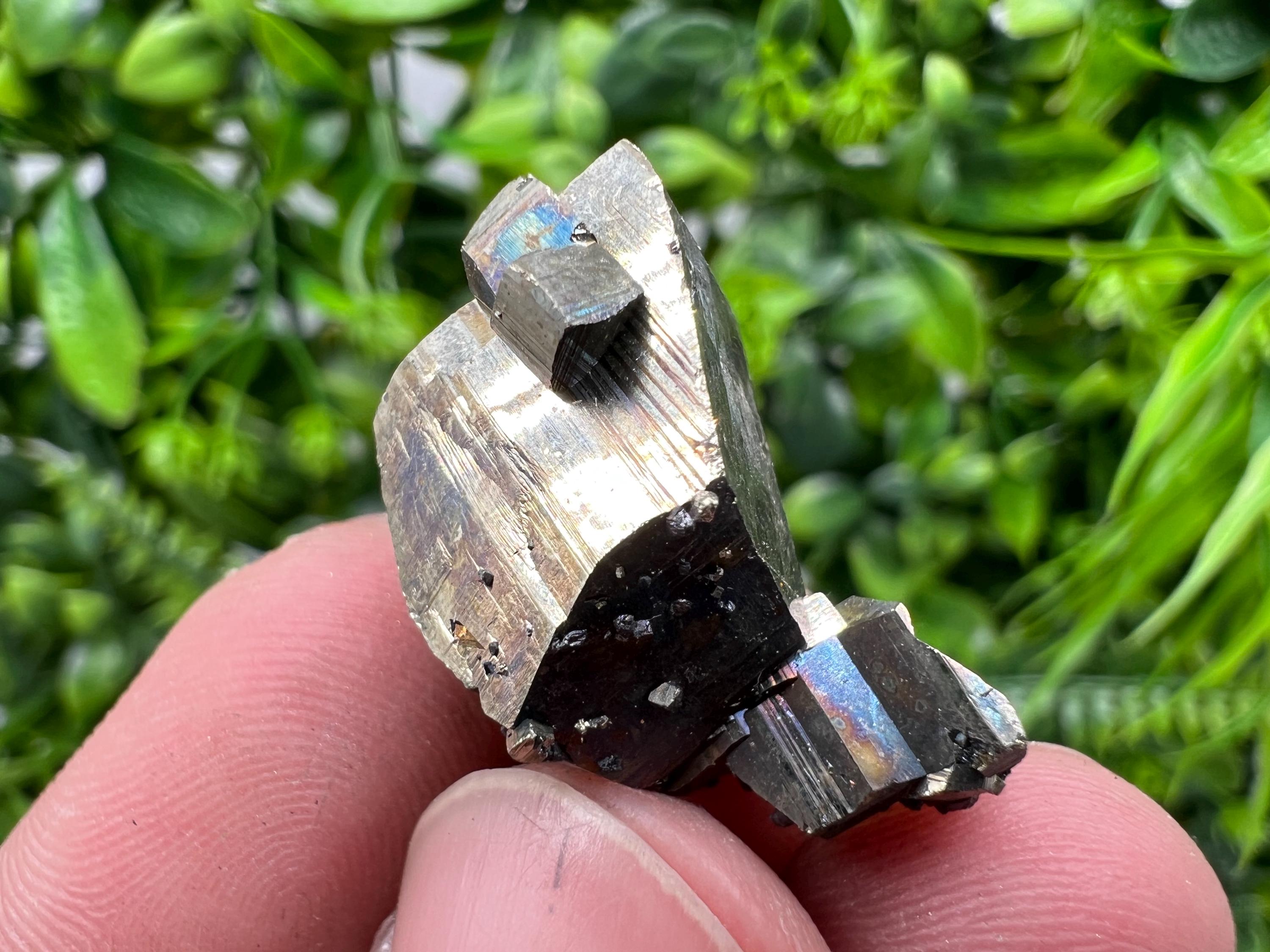 Rare Crystallization Pyrite, Borieva Mine, Bulgaria, Rainbow Golden Pyrite