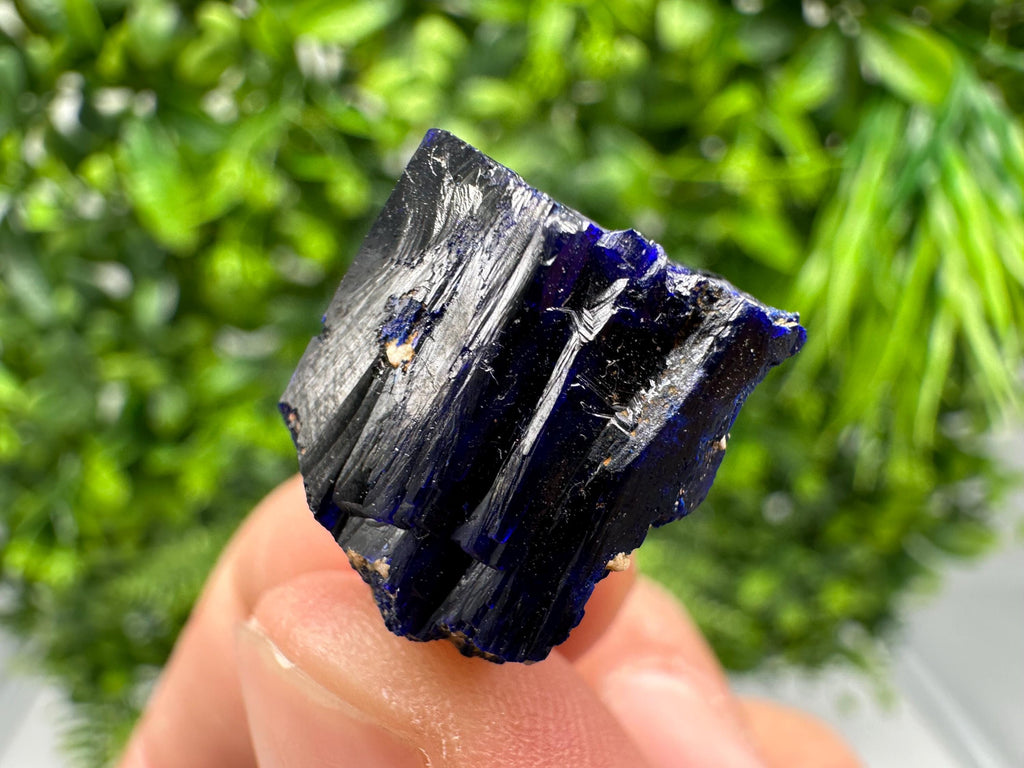 Crystallized Azurite-Kerrouchen,Morocco-Blue Azurite Specimen-High Quality Blue Azurite-Azurite Mineral Specimen, gemmy,lustrous of Azurite