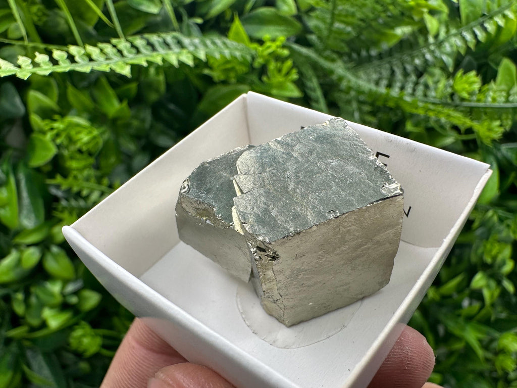 Large Pyrite Cube, Navajun Spain, Shiny Mineral Specimen