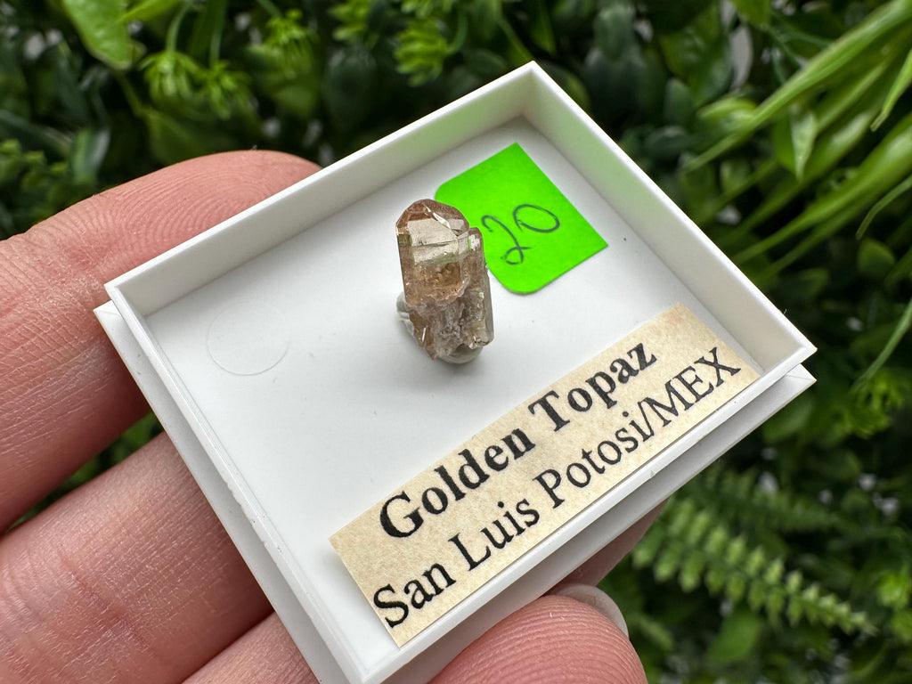 Golden Topaz Crystal, Mineral Specimen from Mexico