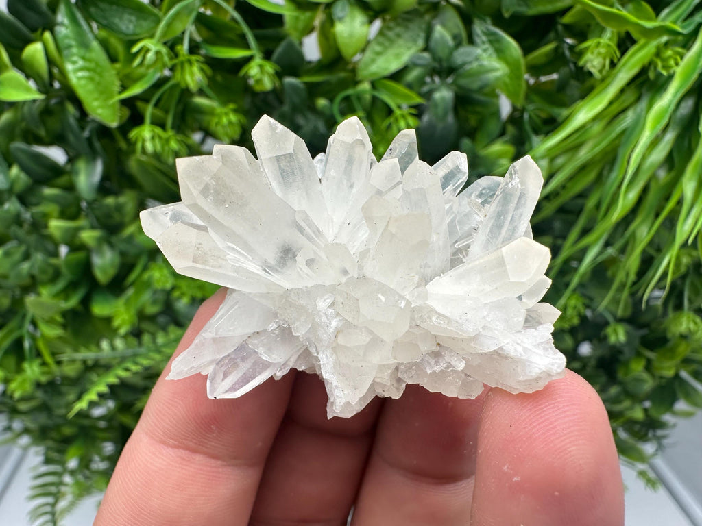 Transparent Quartz Cluster: Borieva Mine Mineral Specimen, Home Decor Crystal
