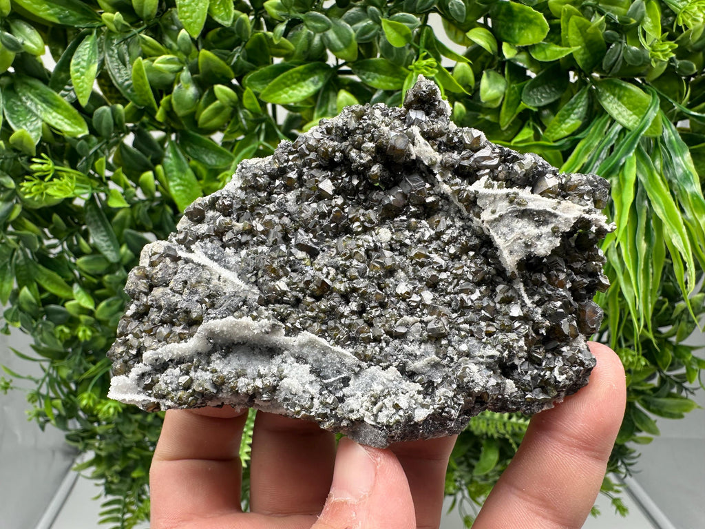 Cleiophane Sphalerite Specimen: Transparent Yellow Green Crystal