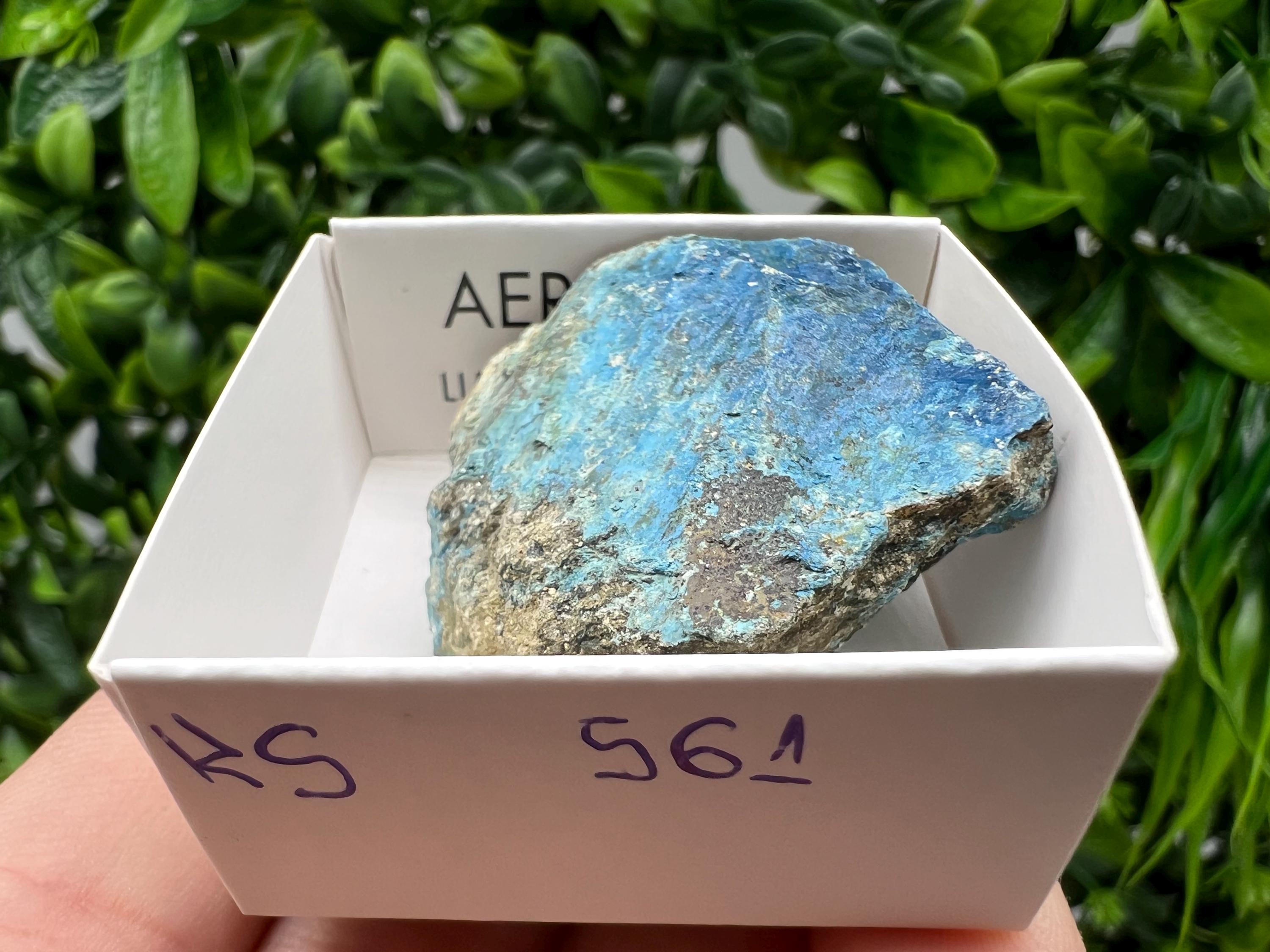 Rare Raw Aerinite Mineral Specimen: Lleida, Spain Crystal Collection (3.5/4 CM)